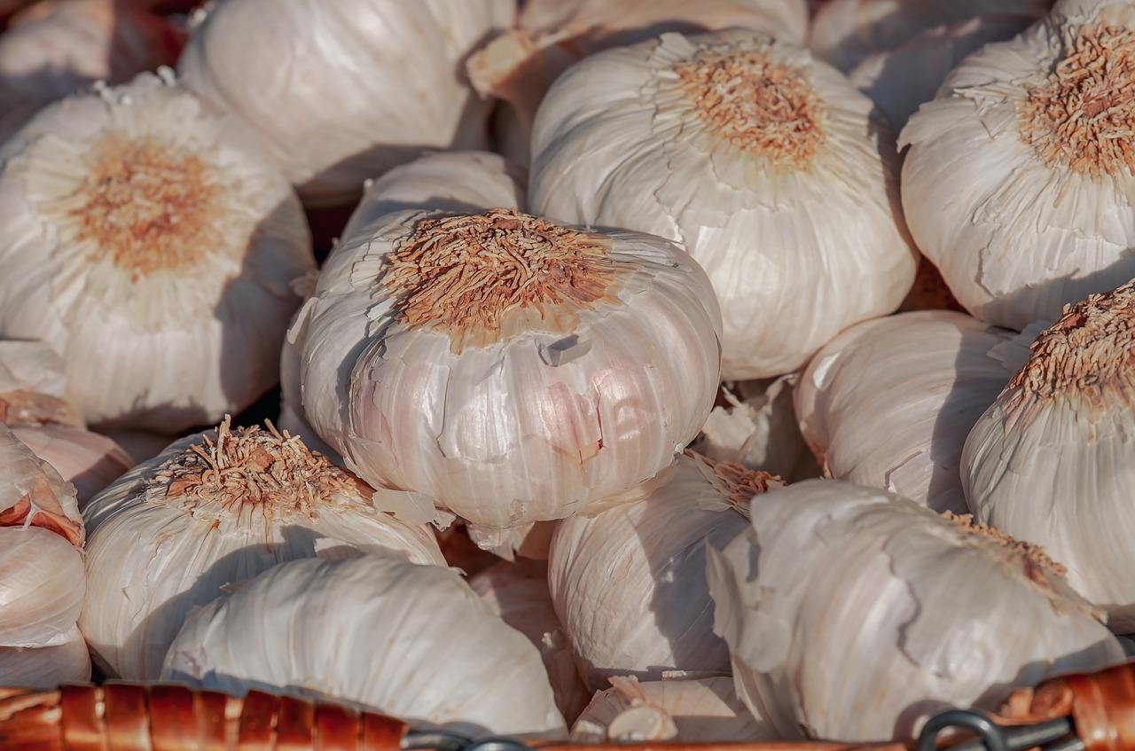 garlic, aromatic plant, garlic bulb-4049574.jpg